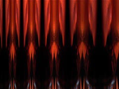 the Cup - cover picture